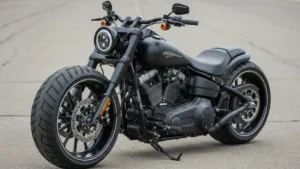 Harley-Davidson Bad Boy 2025